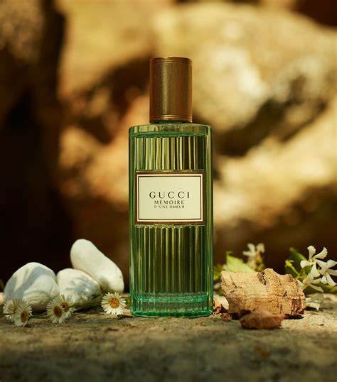 gucci mémoire 'd une odeur controversy|Gucci memoire fragrantica.